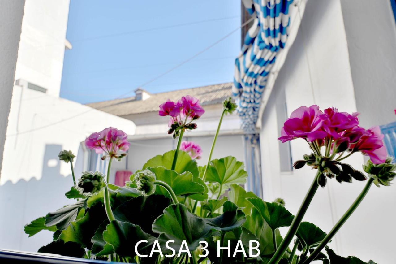 Casas Caballerizas Mezquita 1 Y 3 Hab 코르도바 외부 사진